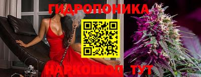ALPHA PVP Обь