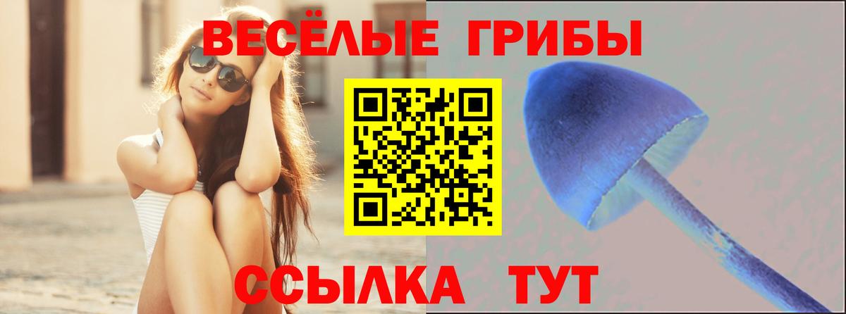 Рузаевка  Галлюциногенные грибы ЛСД  Вход с VPN 